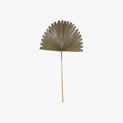Olivia's Libra Calm Neutral Collection - Wide Fan Palm Leaf Brown