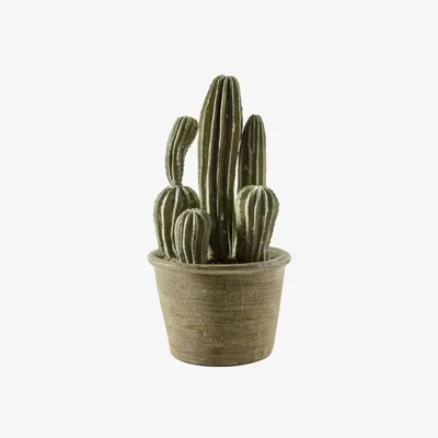 Olivia's Gallery Direct San Pedro Grey Small Cactus