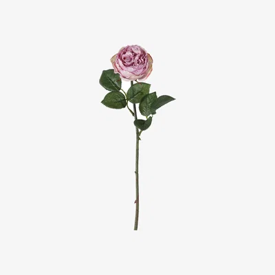 Olivia's Gallery Interiors Aldona Rose Stem Lilac / Small Set of 12