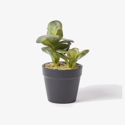 Oliver Bonas Succulent Faux Artificial Plant