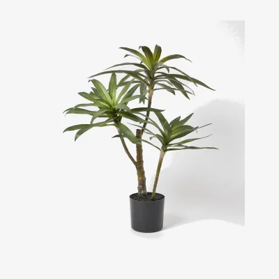 Oliver Bonas Yucca Triple Artificial Plant