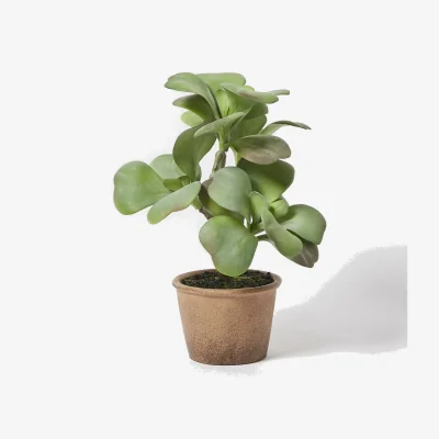 Oliver Bonas Stemmed Succulent Artificial Plant