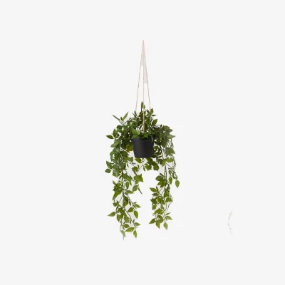 Oliver Bonas Hanging Ivy Artificial Plant