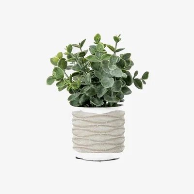 Perch and Parrow Potted Faux Eucalyptus