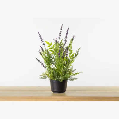 Perch and Parrow Faux Potted Lavender Spray