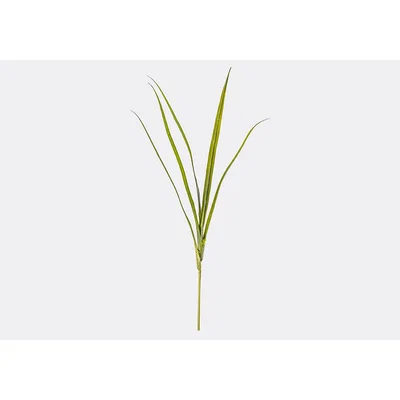 Perch and Parrow Faux Yucca Leaf, Set of Three
