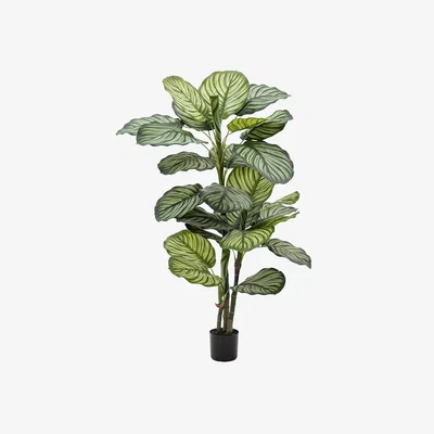 Perch and Parrow Faux Calathea Leaf Tree, Large