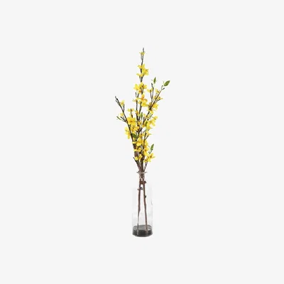 Perch and Parrow Faux Yellow Forsythia in Glass Bottle, Large