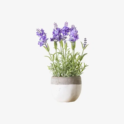 Perch and Parrow Faux Lavender Pot