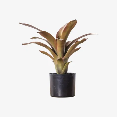Perch and Parrow Faux Potted Bromelaid