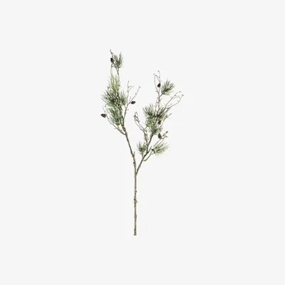 Perch and Parrow Alpine Pine Spray with Moss