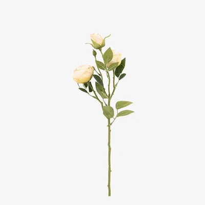 Perch and Parrow Faux White Rose Stem, Set of 6