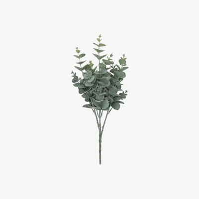 Perch and Parrow Canberra Eucalyptus Spray - Pack of 6