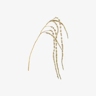 Perch and Parrow Cosmopolitan Amaranthus Floral Spray