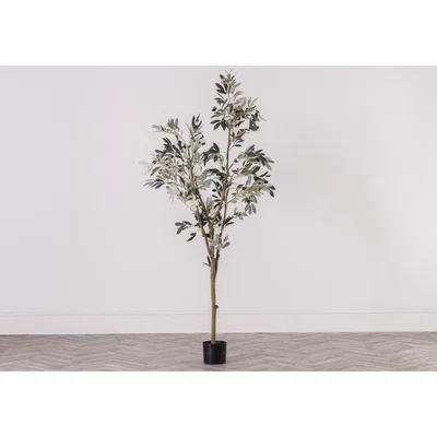 Perch and Parrow Large Faux Olive Tree