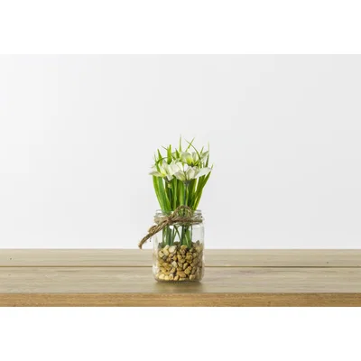 Perch and Parrow Faux Snowdrops in Glass Jar