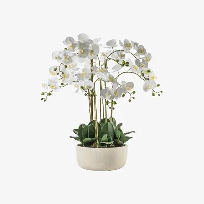 Perch and Parrow Faux Orchids in Large White Bowl