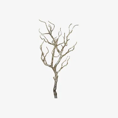 Perch and Parrow Twisted Hazel Branch - Pack of 2