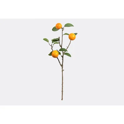 Perch and Parrow Lanzini Faux Orange Stem