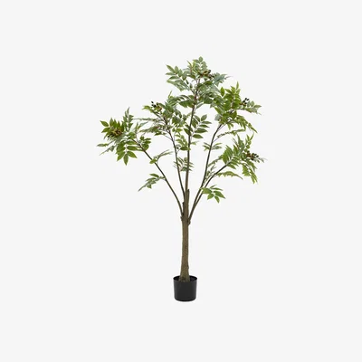 Perch and Parrow Faux Chinese White Olive Tree, Large