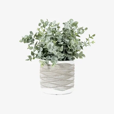 Perch and Parrow Potted Faux Eucalyptus - Medium