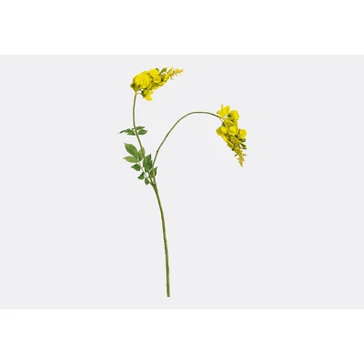 Perch and Parrow Lanzini Faux Yellow Wisteria Stem, Set of Three