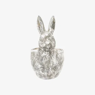 Perch and Parrow Beau Bunny Pot