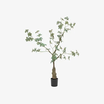 Perch and Parrow Faux Rhodoleia Tree, Medium