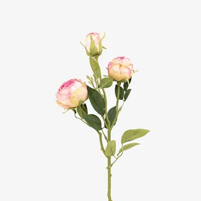 Perch and Parrow Faux Pink Rose Stem, Set of 6