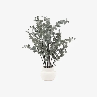 Perch and Parrow Faux Potted Eucalyptus