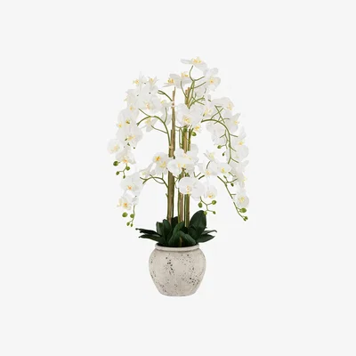 Perch and Parrow Faux Real Touch Orchid in Cement Style Pot in White
