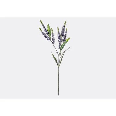 Perch and Parrow Lanzini Astilbe Spray in Mauve, Set of Three