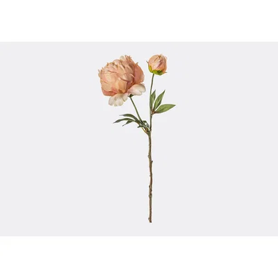 Perch and Parrow Lanzini Faux Peony Stem in Pink, Set of Five