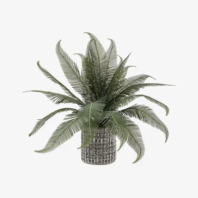 Perch and Parrow Faux Potted Wide Fern