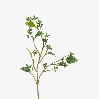 Perch and Parrow Faux Green Berry Foliage Stem, Set of 12