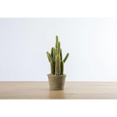 Perch and Parrow Faux Carnegiea Cactus in Tonal Pot, Small