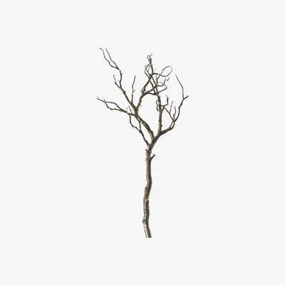 Perch and Parrow Inez Sparkly Branch, Set of Two