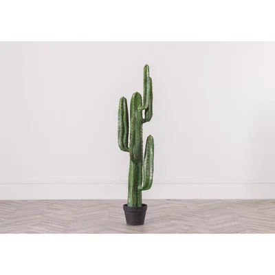 Perch and Parrow Medium Sized Faux Desert Cactus