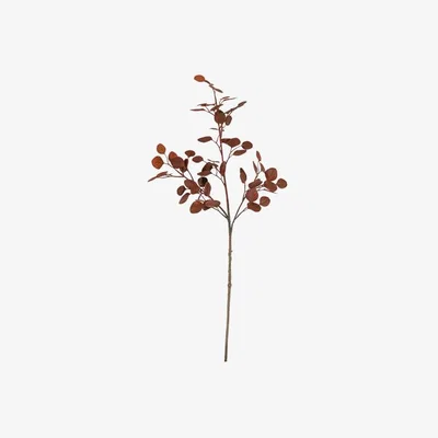 Perch and Parrow Canberra Eucalyptus Spray in Red - Pack of 5