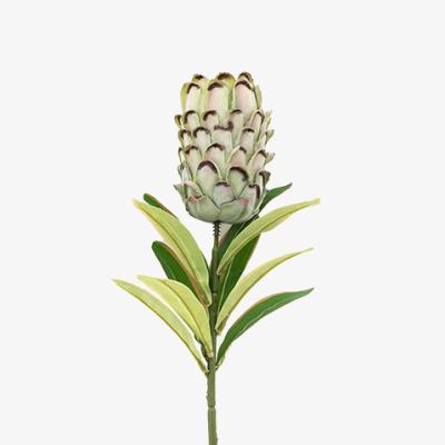 Perch and Parrow Faux Green Tropical Stem, Set of 12