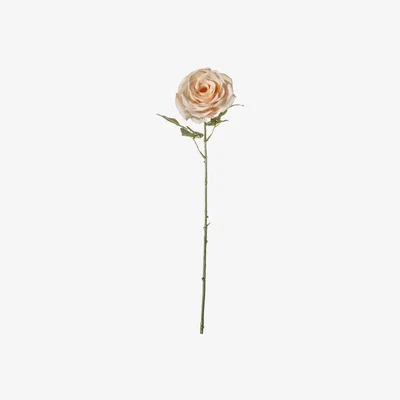 Perch and Parrow Lanzini Faux Rose Stem - Set of Three