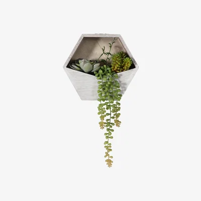 Perch and Parrow Isla Faux Echeveria Succulents in White Wall Planter