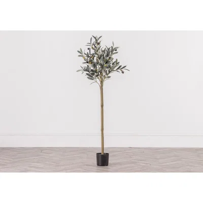 Perch and Parrow Medium Faux Olive Tree