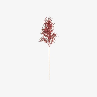 Perch and Parrow Red Sentinal Spray in Burgundy - Pack of 3