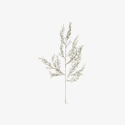 Perch and Parrow Verdure Foliage Spray in Gold Glitter - Pack of 3