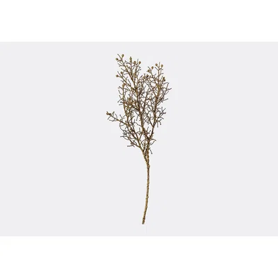 Perch and Parrow Lanzini Dried Look Cypress Spray, Set of Three