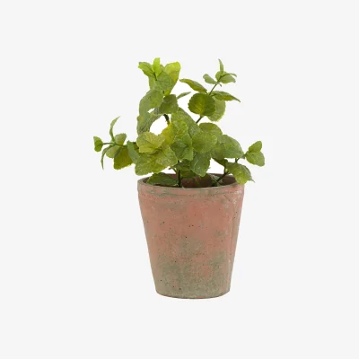 Perch and Parrow Faux Mint Plant in Terracotta Pot