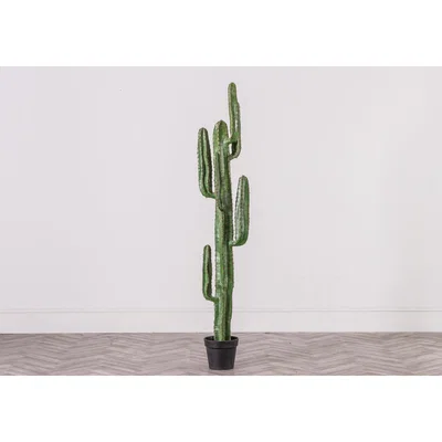 Perch and Parrow Large Faux Desert Cactus