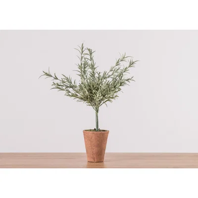 Perch and Parrow Faux Lavender Olive Tree in Pot