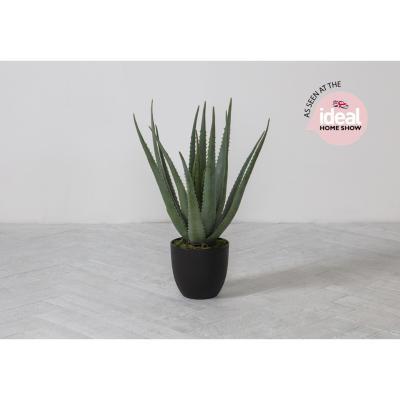 Perch and Parrow Faux Aloe Vera in Slate Effect Planter